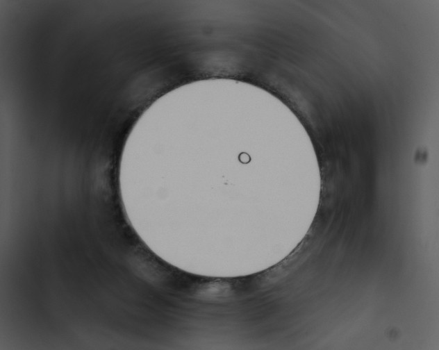 X0000102850162200809081252