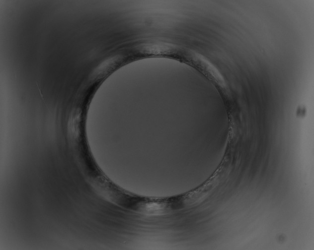 X0000102850163200809081252