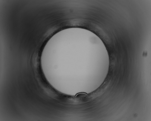 X0000102850164200809081252