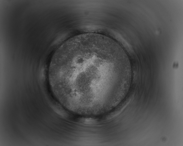 X0000102850165200809081252