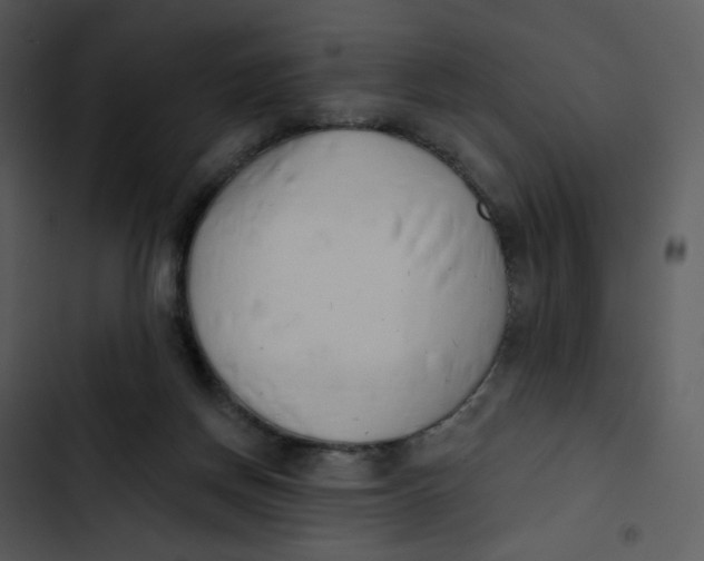 X0000102850166200809081252