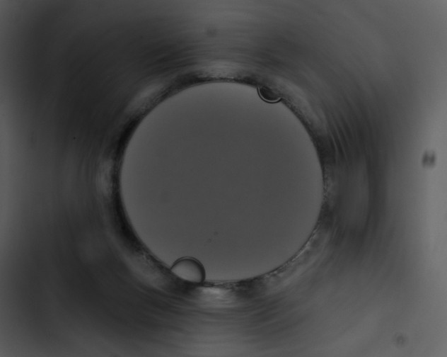 X0000102850167200809081252