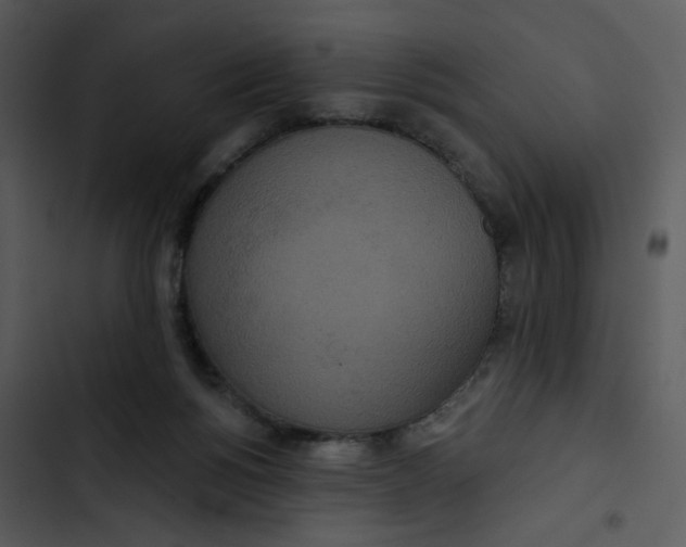 X0000102850168200809081252