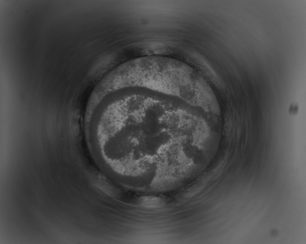 X0000102850169200809081252