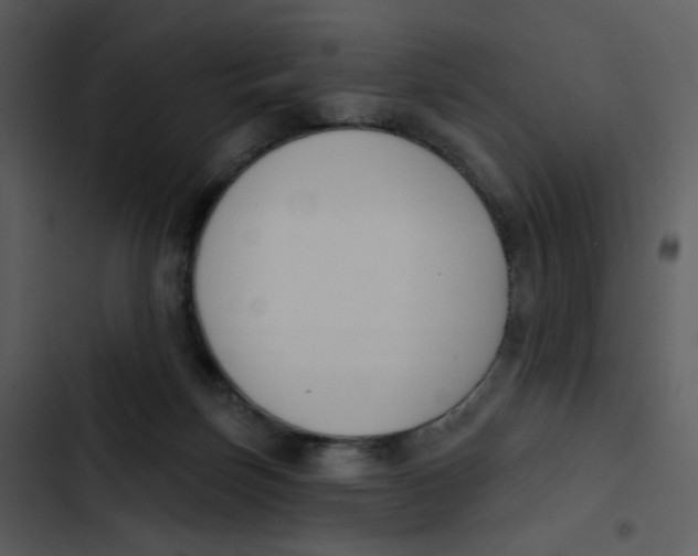 X0000102850171200809081252