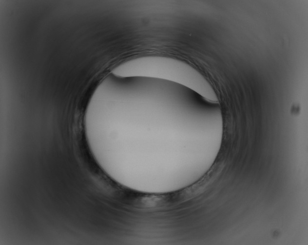 X0000102850172200809081252