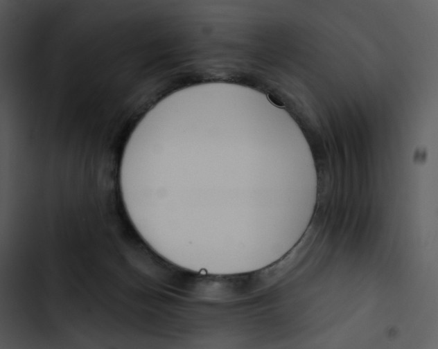 X0000102850174200809081252