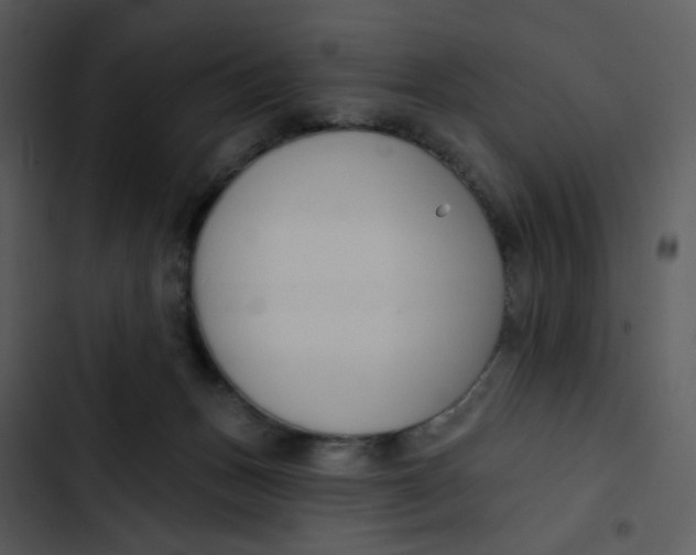 X0000102850175200809081252