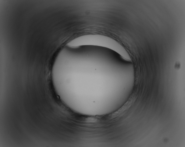 X0000102850176200809081252