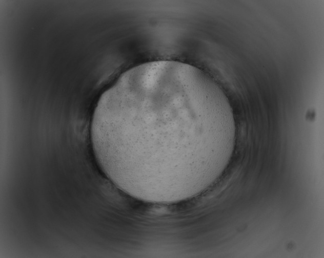 X0000102850177200809081252