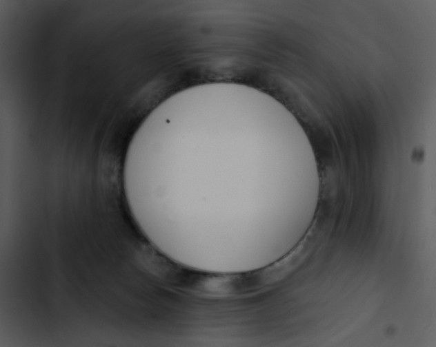 X0000102850178200809081252