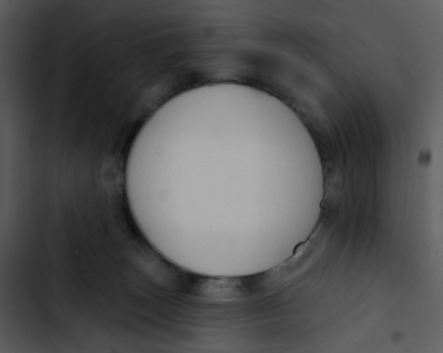 X0000102850179200809081252