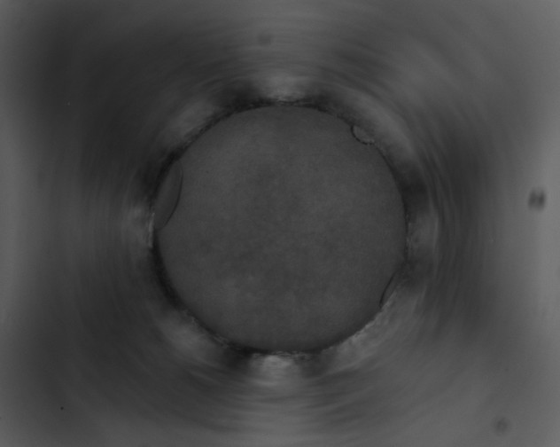 X0000102850180200809081252