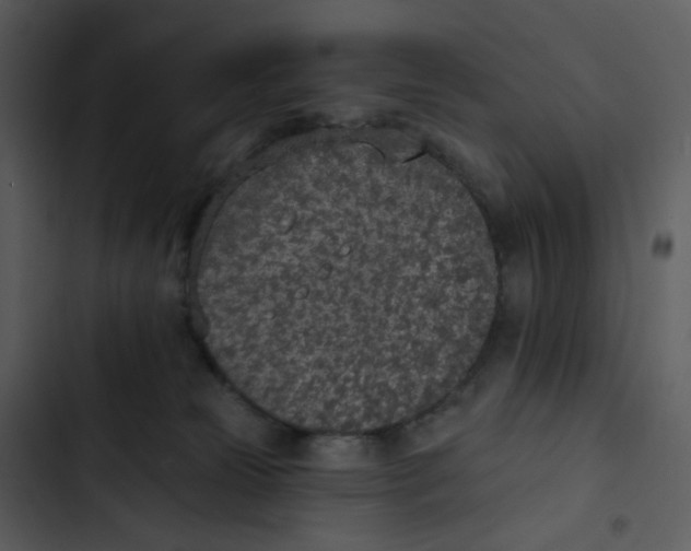 X0000102850181200809081252