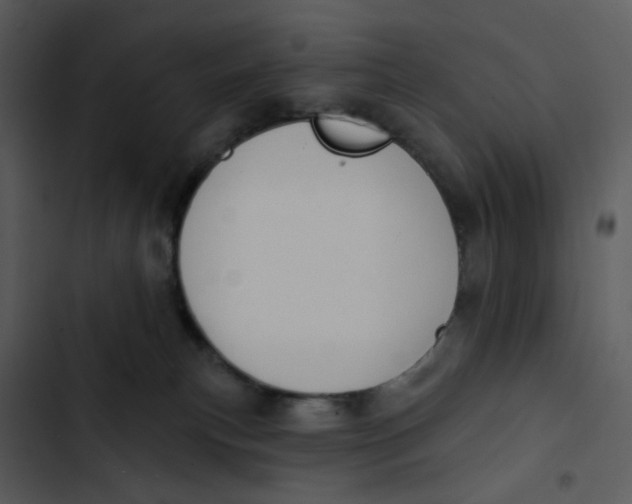 X0000102850183200809081252