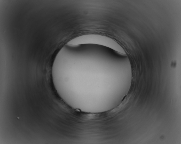 X0000102850184200809081252