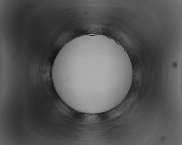 X0000102850185200809081252