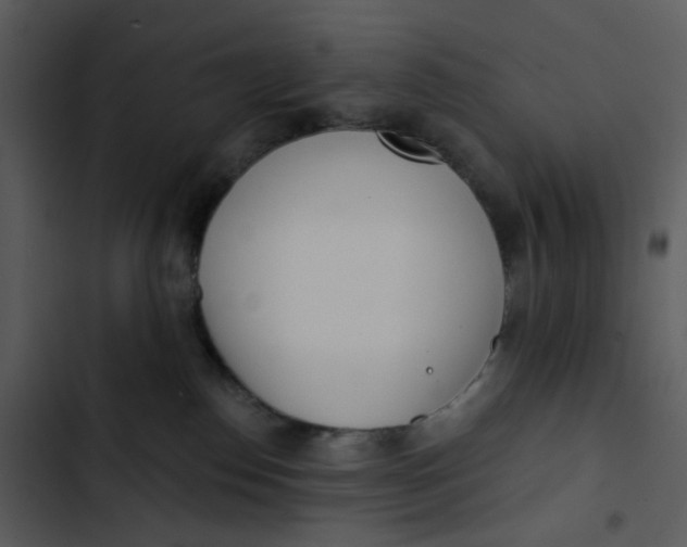 X0000102850186200809081252