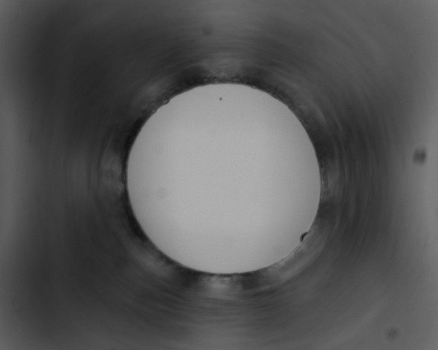 X0000102850187200809081252