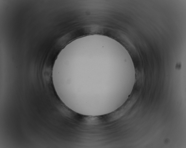 X0000102850189200809081252