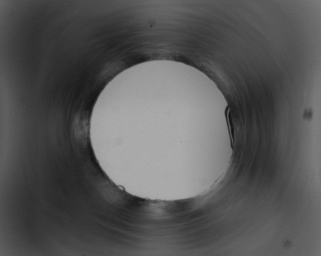 X0000102850190200809081252