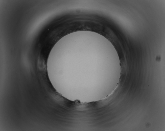 X0000102850191200809081252