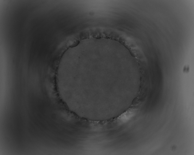 X0000102850192200809081252