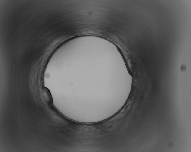 X0000102850193200809081251