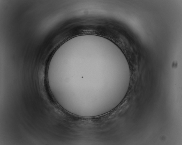 X0000102850194200809081251