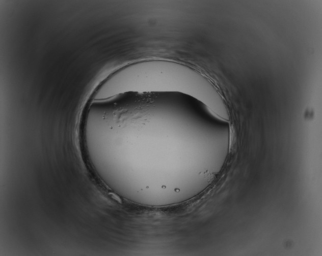 X0000102850195200809081251