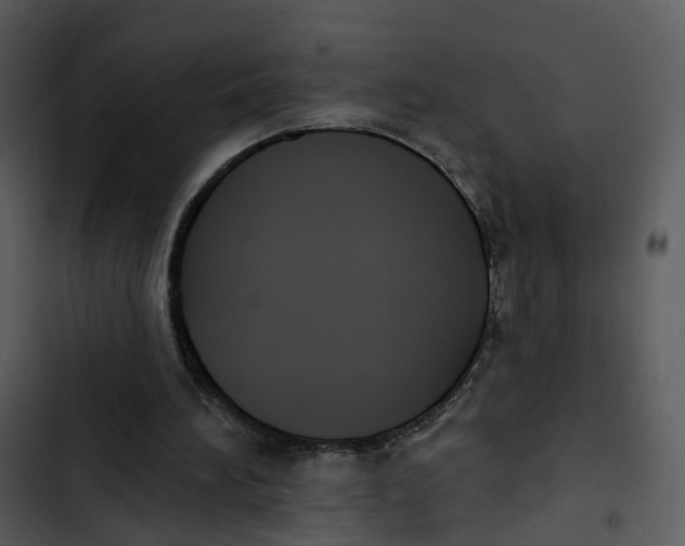 X0000102850196200809081251