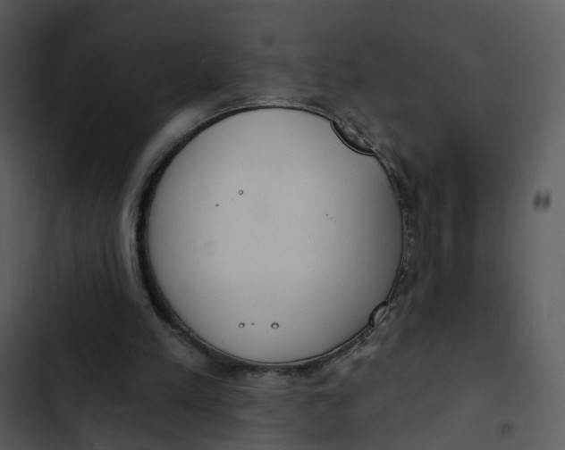 X0000102850197200809081251