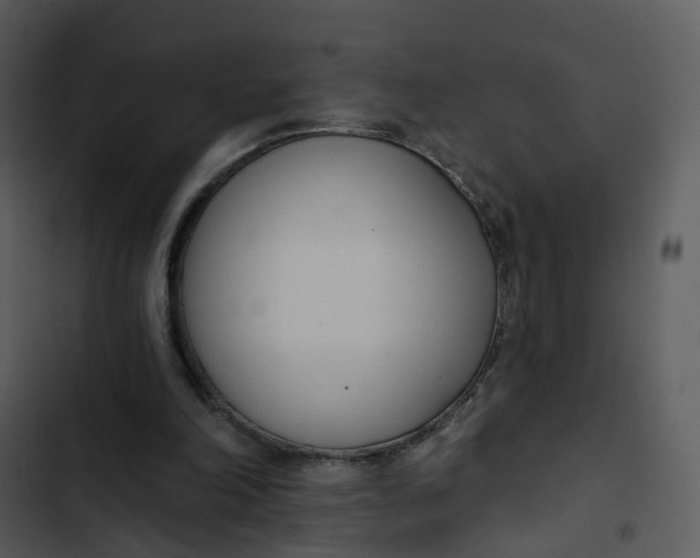 X0000102850198200809081251