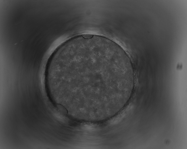 X0000102850199200809081251