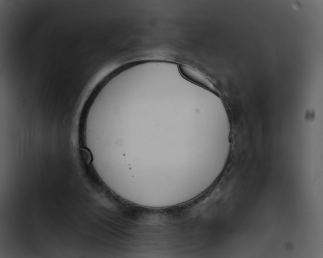 X0000102850200200809081251