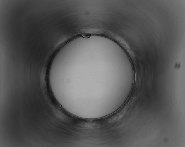 X0000102850201200809081251