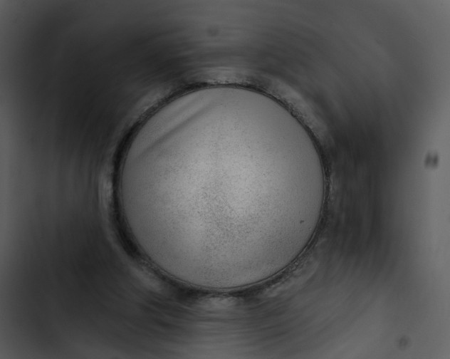 X0000102850202200809081251