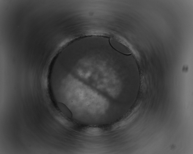 X0000102850203200809081251