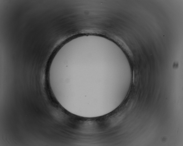 X0000102850204200809081251