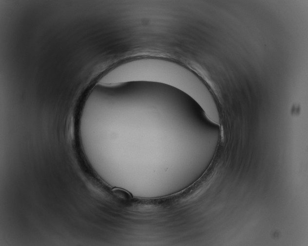 X0000102850205200809081251