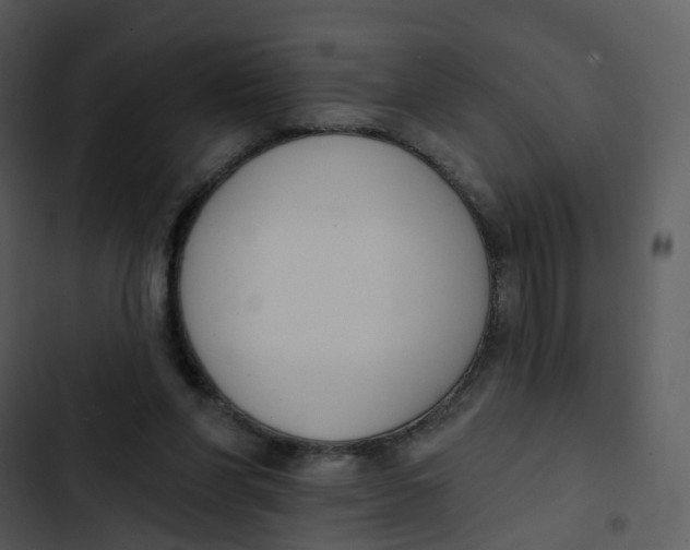 X0000102850206200809081251