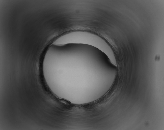 X0000102850207200809081251