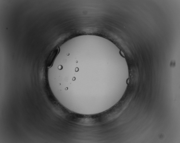 X0000102850212200809081251