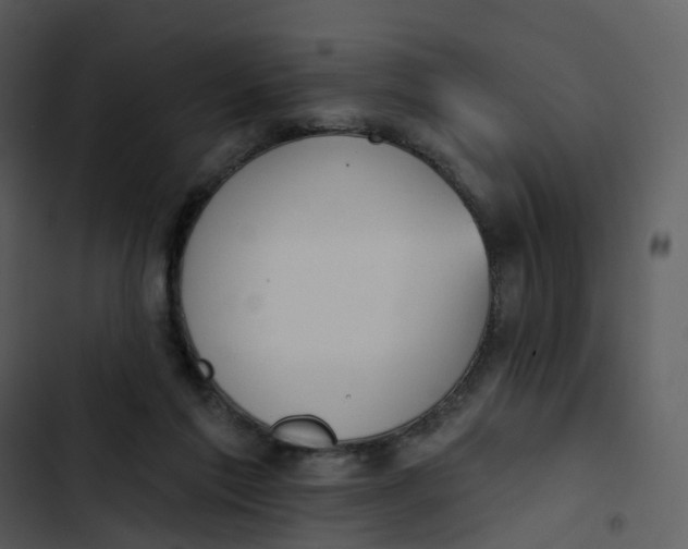 X0000102850213200809081251