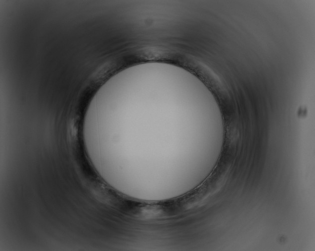 X0000102850214200809081251