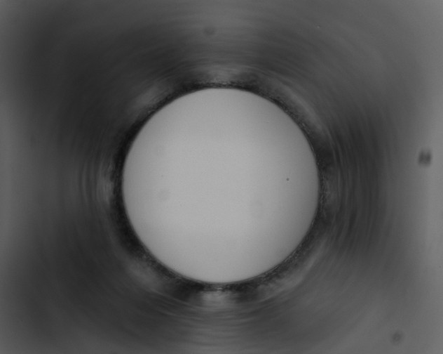 X0000102850216200809081251