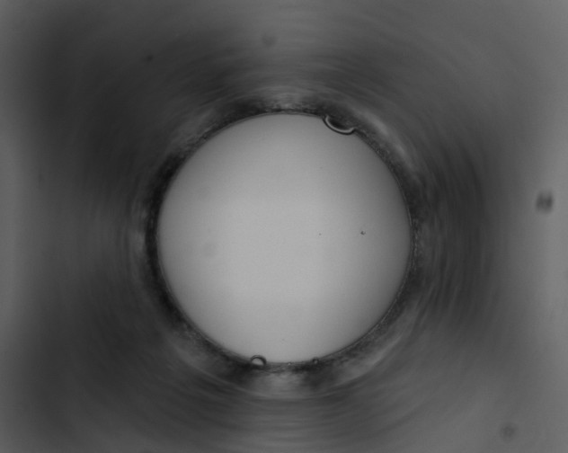 X0000102850217200809081251