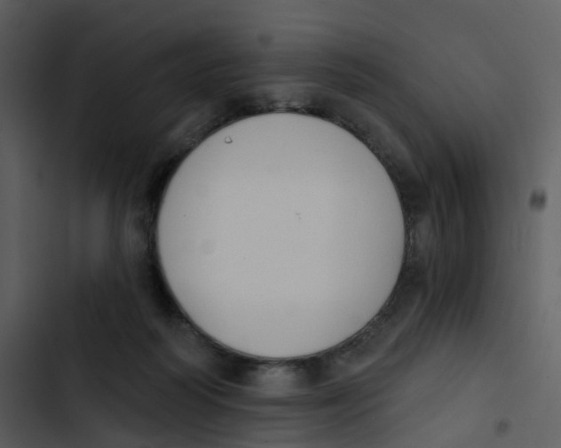 X0000102850218200809081251