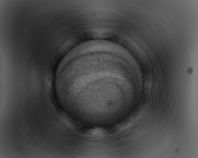 X0000102850219200809081251