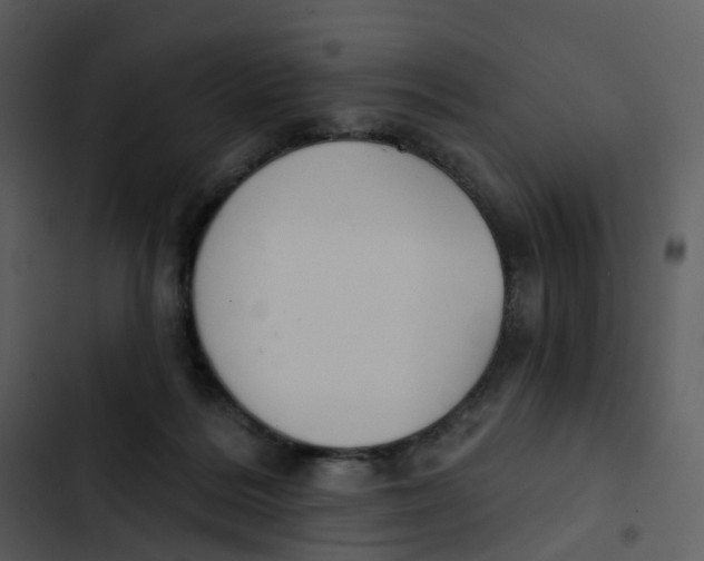 X0000102850220200809081251